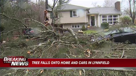 Downed trees cause extensive damage, traffic across state as wind gusts reach 50-70 mph in some spots